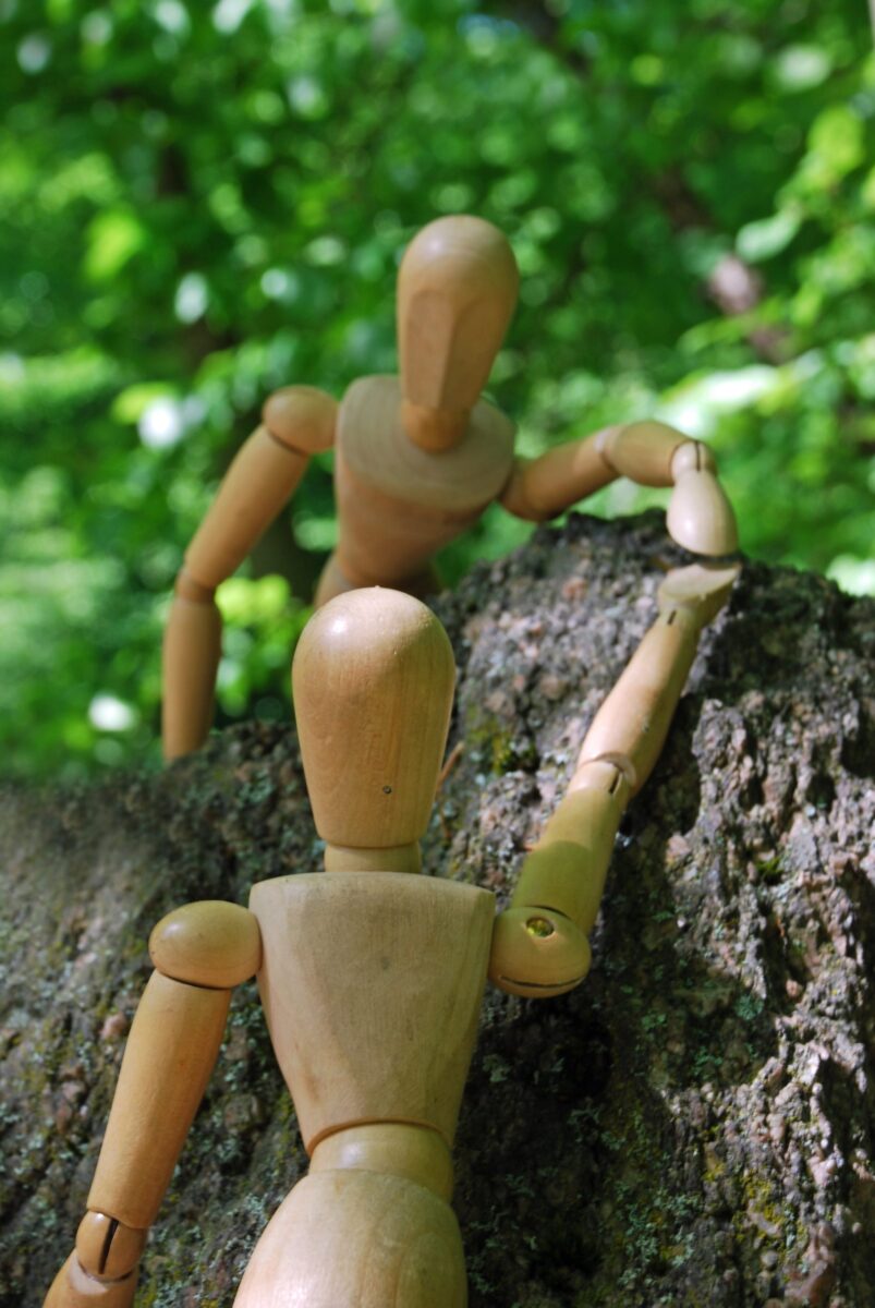 Wohlwollen und Unterstützung